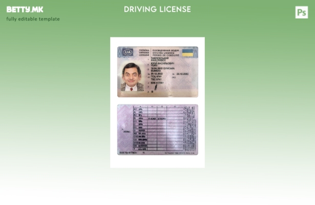 Модерен стил Украина возачка дозвола присутен шаблон 1